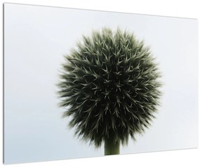 Egy viráglabda képe (90x60 cm)