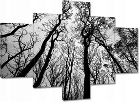 Vászonkép 100x70 Erdő Fák Kilátás alulról