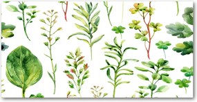 Fotótapéta üvegfalra Gyógynövények és gyomok 140x70