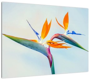 Virág képe (üvegen) (70x50 cm)