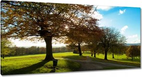 Festmények 115x55 Őszi tájkép