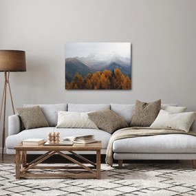 Kép - Kilátás a hegyre (70x50 cm)