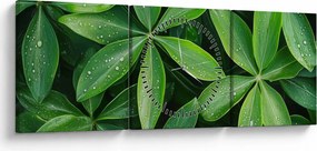 Kép - Levelek harmatcseppekkel (órával) (90x30 cm)