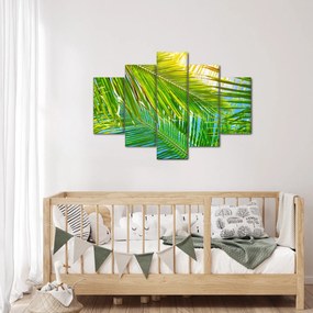 Kép - Pálmalevelek (150x105 cm)