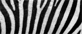 Kép egy zebra bőrről (120x50 cm)