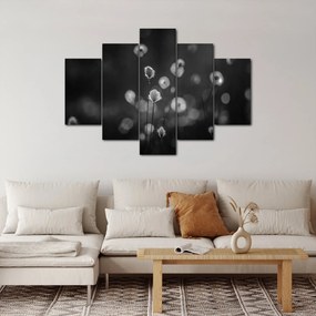Kép - Pamutfű a réten (150x105 cm)