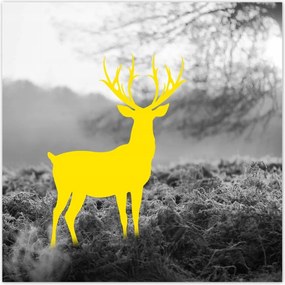 Poszterek 70x70 Sárga szarvas Erdő Tájkép