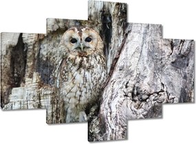Vászonkép 100x70 Bagoly a természetben Fa