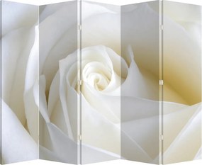 Paraván - Fehér rózsa (210x170 cm)