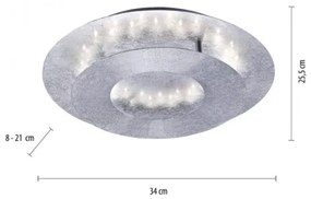 Paul Neuhaus 9011-21 - LED Mennyezeti lámpa NEVIS LED/6W/230V ezüst