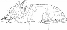 Poszter 59,4x42cm AlvĂł kutyus