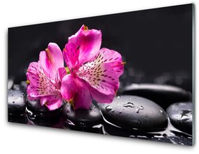 Üvegkép Virágok kövek Zen Spa 120x60cm 2 fogas