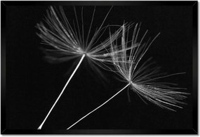 Poszterek keretben 60x40 Pitypang Virág Virágok