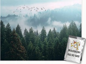 Fotótapéta Erdő A Ködben 3D Fák Természet Falra Hálószoba Nappali 400x280