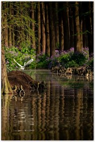 Poszterek 80x120 Tájkép Látvány