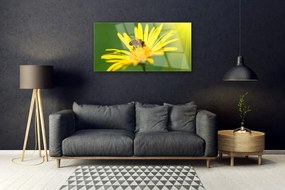 Modern üvegkép Bee Virág Természet 100x50 cm