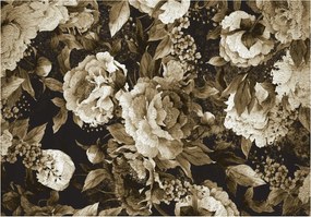 Fotótapéta Bazsarózsa Kamélia Vintage sötét vinil háttér 254x184 +ragasztó