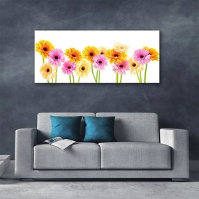 Canvas kép Színes százszorszép virágok 120x60 cm