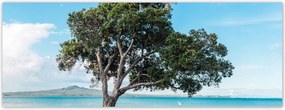 Fotótapéta flizelina 250x93 Magányos fa