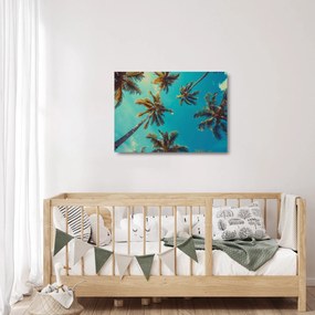 Üveg kép - Magas pálmafák (70x50 cm)