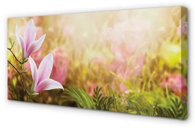 Canvas képek Magnolia fa nap 140x70 cm