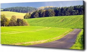 Canvas falikép Mezei út 100x70 cm