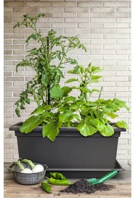 Gardenico Magnus nagyméretű ültetőláda, antracit, 80 cm