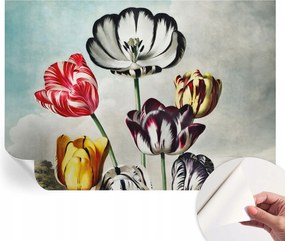 Modern Öntapadós Fotótapéta Mosható Színes tulipánok 312x219 cm