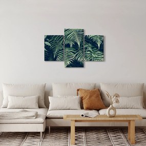 A páfrány levelek képe (90x60 cm)