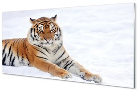 Akrilkép Tiger tél 120x60 cm 2 fogas