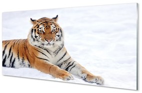 Akrilkép Tiger tél 125x50 cm