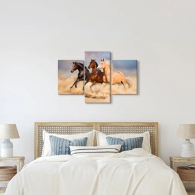 Kép - Vad lovak (90x60 cm)
