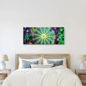 Kaktusz kép (120x50 cm)