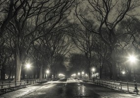 Poszter 66,5x46,5cm Éjszakai kilátás a Central Parkon át vezető útra, Assaf Frank