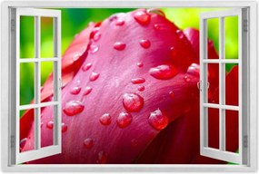 Poszterek 90x60 Tulipánok Virágok