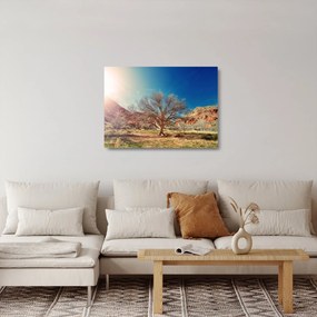 Fa a sivatagban képe (üvegen) (70x50 cm)