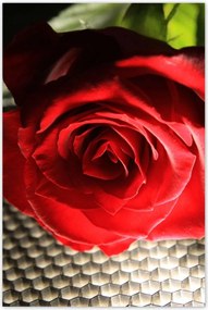 Poszterek 80x120 Érdekes ötlet