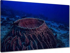 Festmények 120x80 Víz alatti tengeri élet