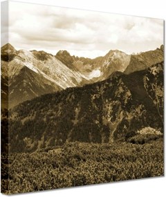 Vászonkép 60x60 Tátra Lengyel hegyek Kilátás