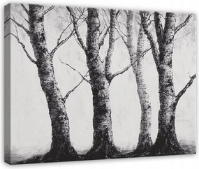 Vászonkép Erdő Fák Fekete-fehér Hálószoba Nappali Konyha 60x40