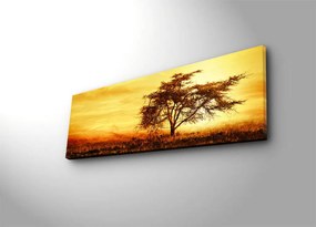 Vászonkép, 30×90 cm – TR239SHN3201