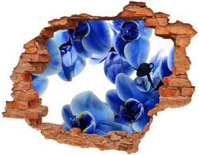 3d fali matrica lyuk a falban Kék orchidea nd-c-108719239
