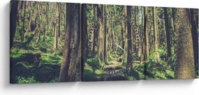 Kép egy út a fák között (órával) (90x30 cm)