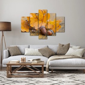 Kép - Őszi makk (150x105 cm)