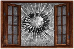 Poszterek 90x60 Pitypang Virág Virágok