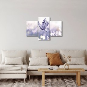 Kép - Pillangó és levendula (90x60 cm)