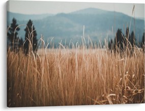 Kép - réti növényzet részlete (70x50 cm)