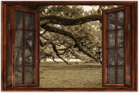 Poszterek 60x40 ErĆteljes tölgy