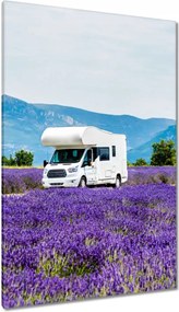 Vászonkép 80x120 Lakókocsi a levendulamezők között