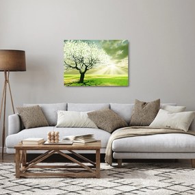 Virágzó fa képe (üvegen) (70x50 cm)